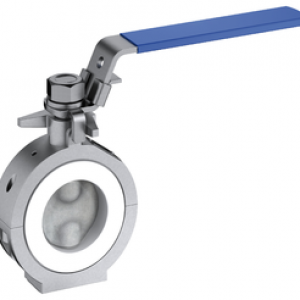 BE 50/BE 80 container valve