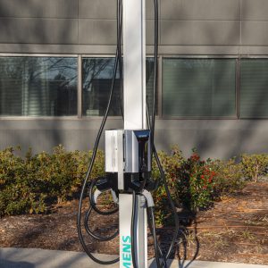 Cargador para auto eléctrico - VERSICHARGE US2:VCPOSTGRY2